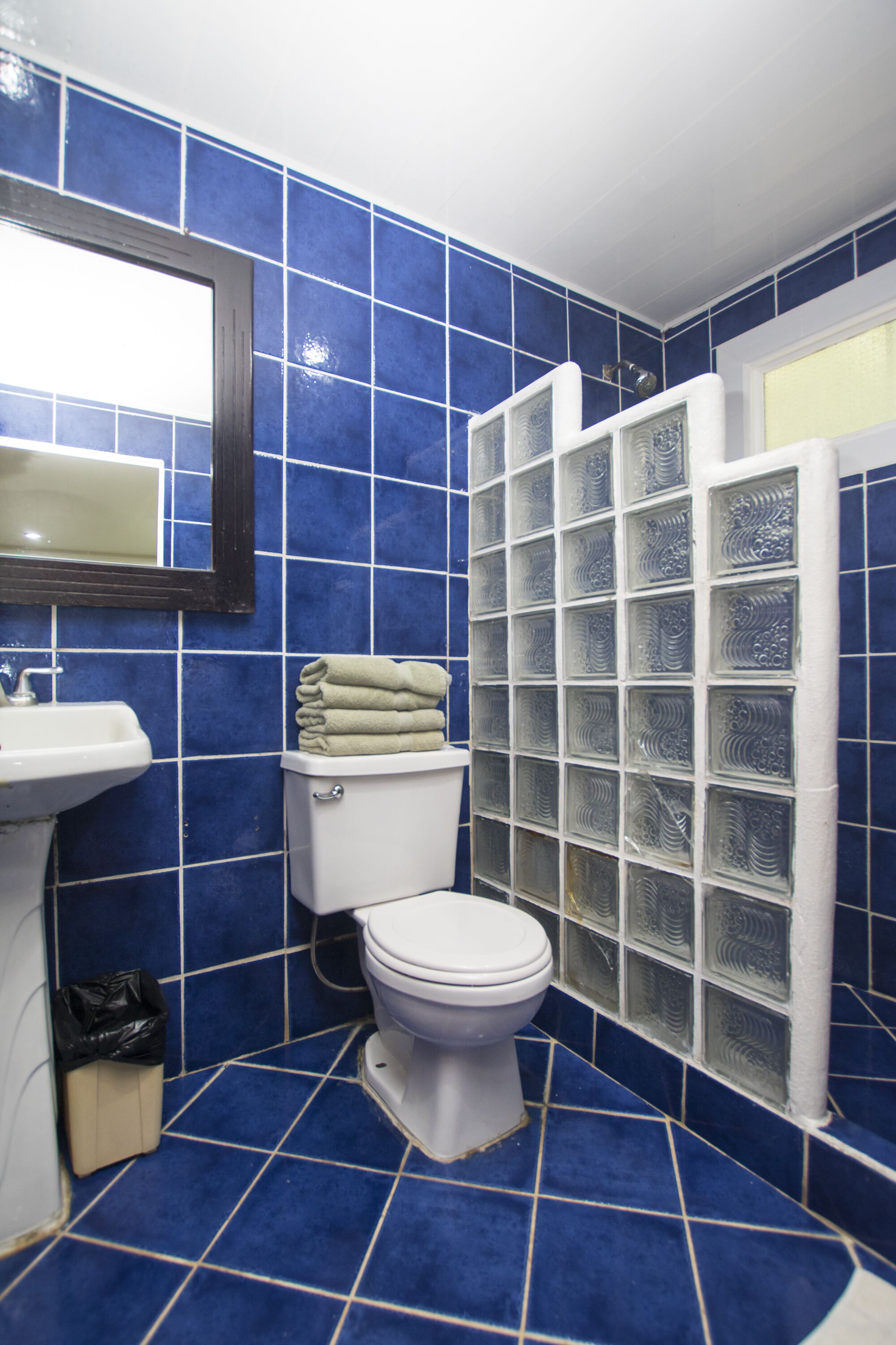 Une salle de bain avec des carreaux bleus, un lavabo blanc, des toilettes et une douche dotée de portes en verre dépoli.