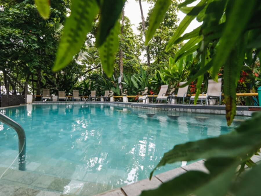 Outdoor pool, pool loungers