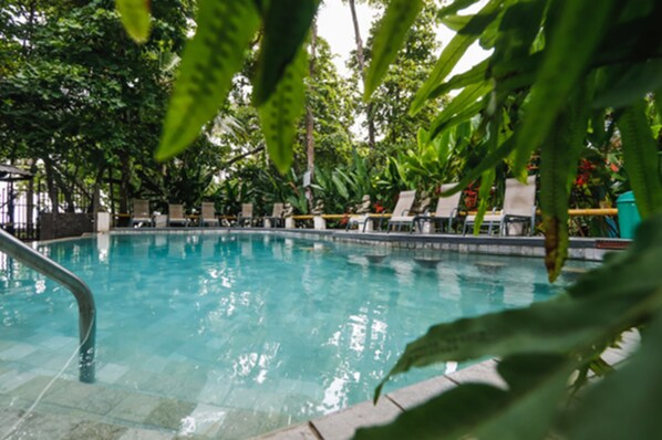 Outdoor pool, sun loungers