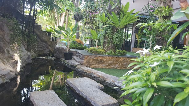 Um jardim interno tranquilo com um pequeno lago, degraus de pedra e vegetação exuberante.