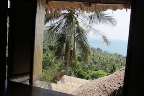 Vista desde la habitación