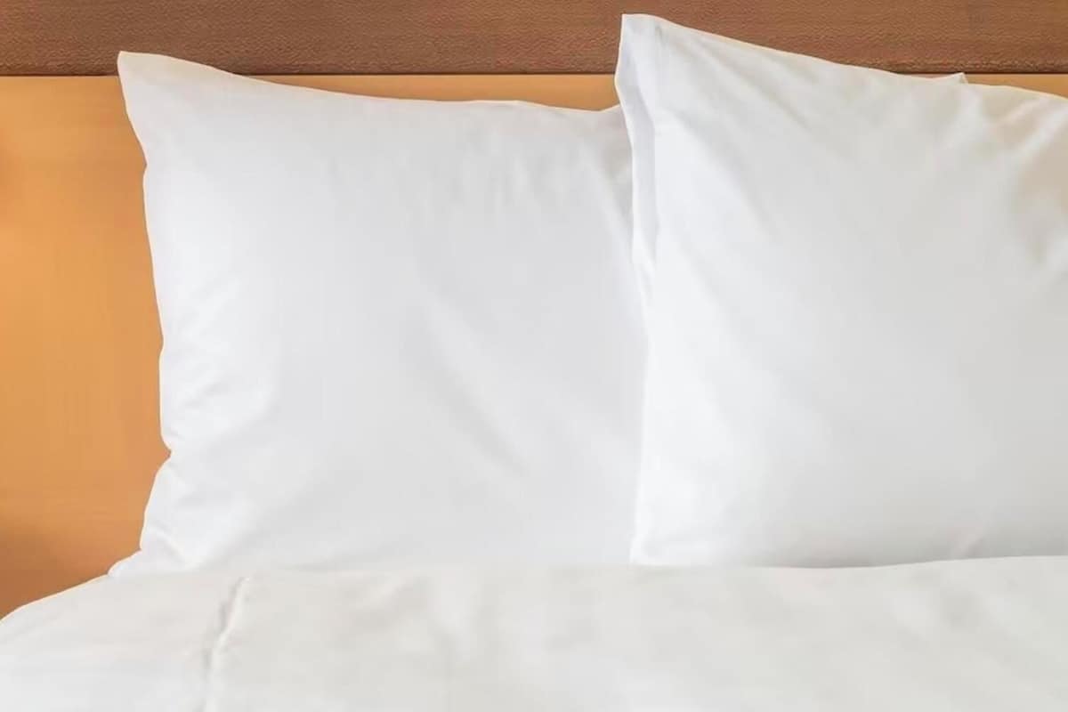 Literie de qualité supérieure, couette en duvet d'oie