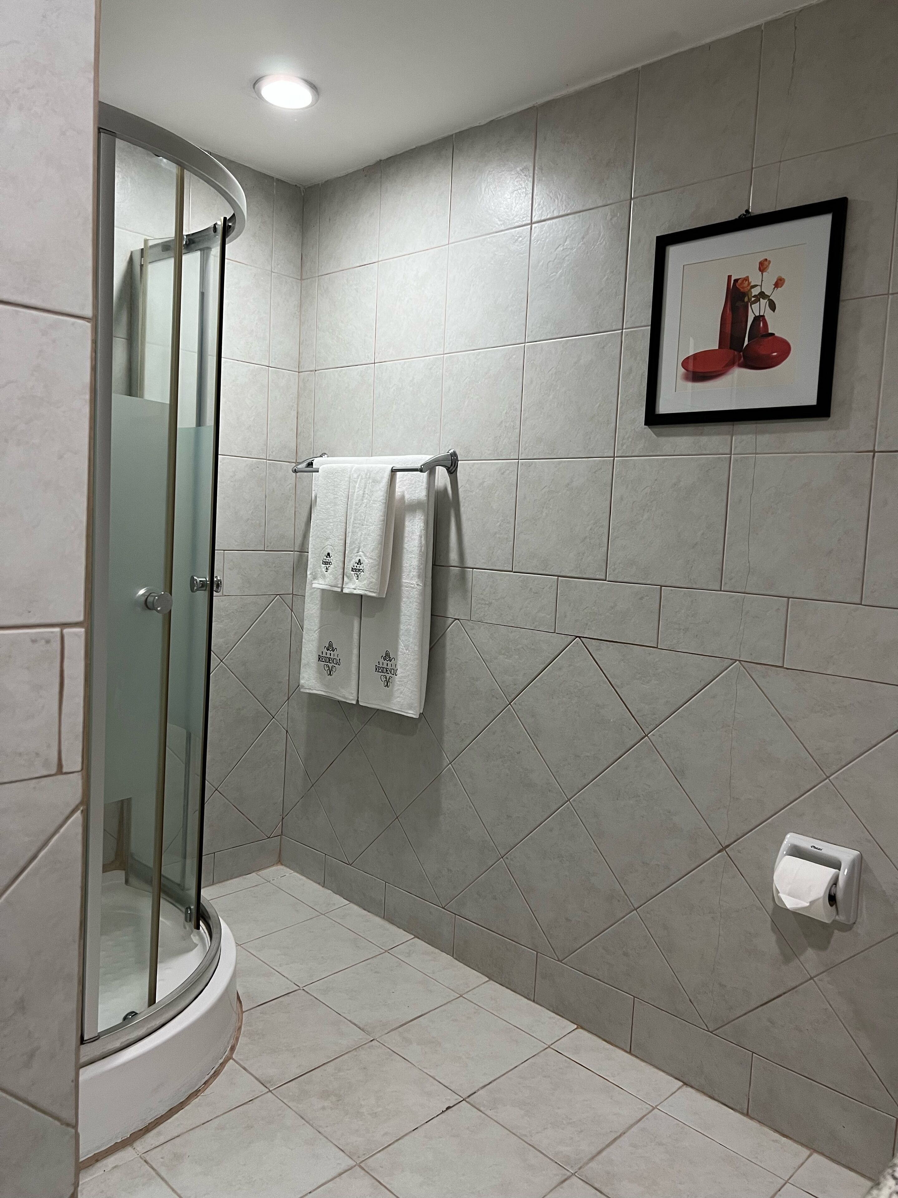 Un baño con cabina de ducha de vidrio, un perchero con dos toallas, un cuadro enmarcado en la pared y un dispensador de papel higiénico.