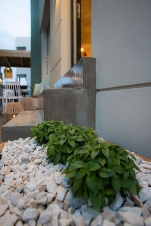 Exterior detail - Sunshine Hotel (Malia)