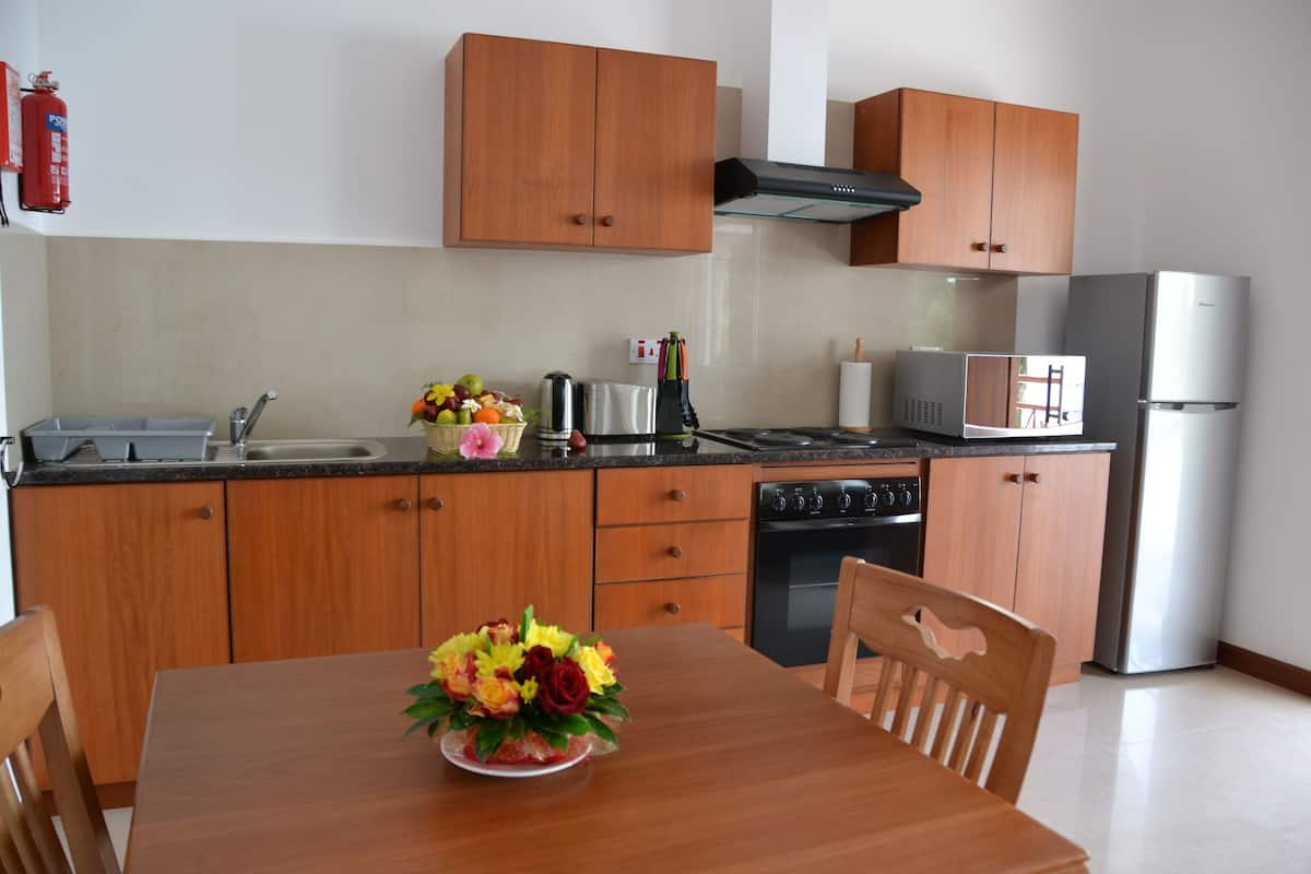 Apartment | Private kitchen | Fridge, microwave, oven, stovetop
