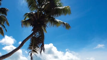 Na praia, areia branca