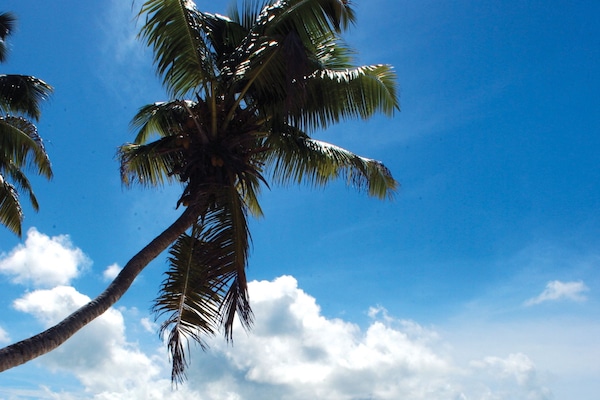 On the beach, white sand