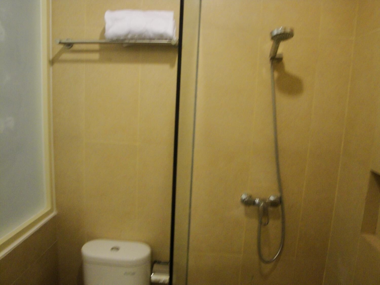 A small bathroom with a toilet, a towel rack, and a shower.