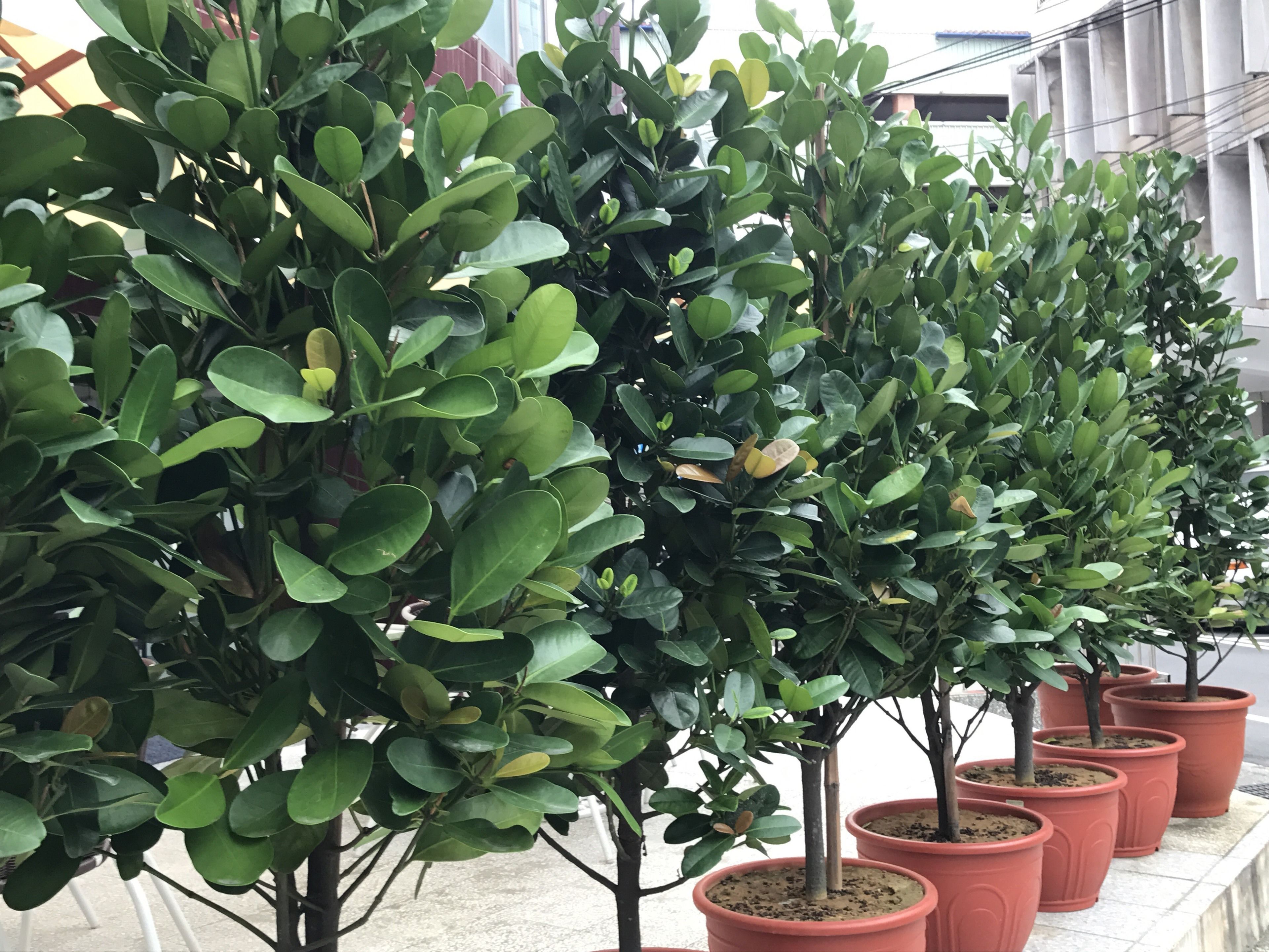 Vista desde la propiedad