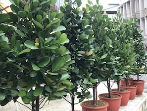 Utsikt fra overnattingsstedet