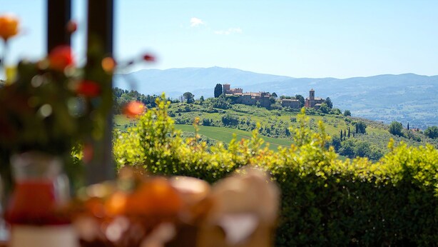 Vista di un paesaggio campestre con un castello su una collina, cielo sereno e campi verdi.