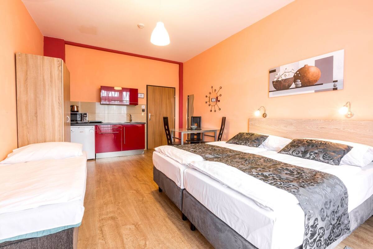 Une chambre comprenant un lit, une table de chevet, une chaise, un bureau et un coin cuisine.