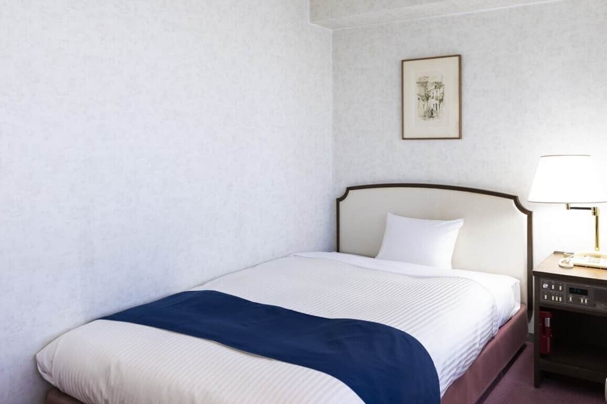 Desk, iron/ironing board (on request), cribs (surcharge), WiFi (free)