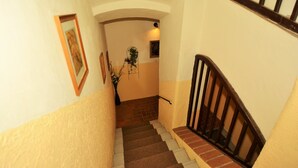 Uma escadaria com corrimão, uma parede com moldura de quadro e uma planta.