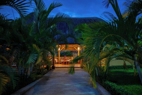 African Roots Entebbe