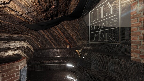 A spa area with a tiled floor, a brick wall, and a sign that reads "Lily Wellness & Spa". - Hoffmeister Depandance (Prague)