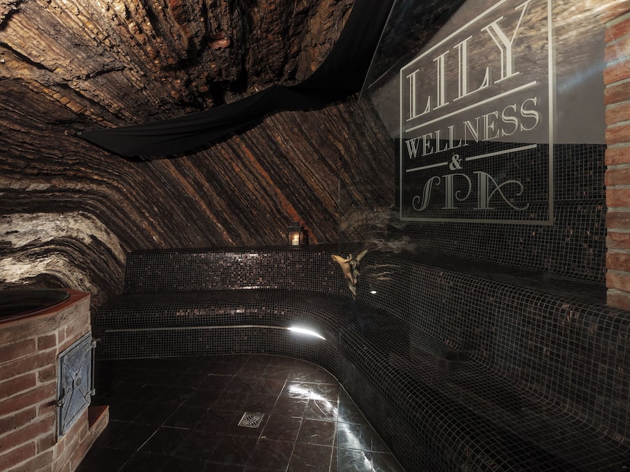 Sauna, bañera de hidromasaje, baño turco, masajes con piedras calientes