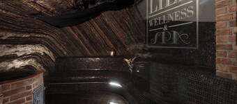 Hoffmeister Depandance