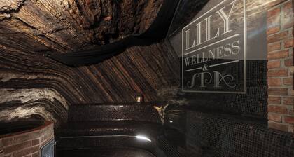 Hoffmeister Depandance