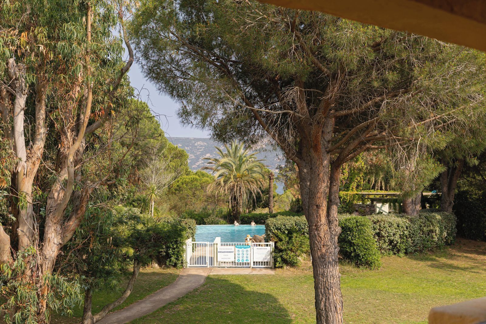 Zona de piscina amb un camí que condueix a un edifici, envoltada d'arbres i vegetació.