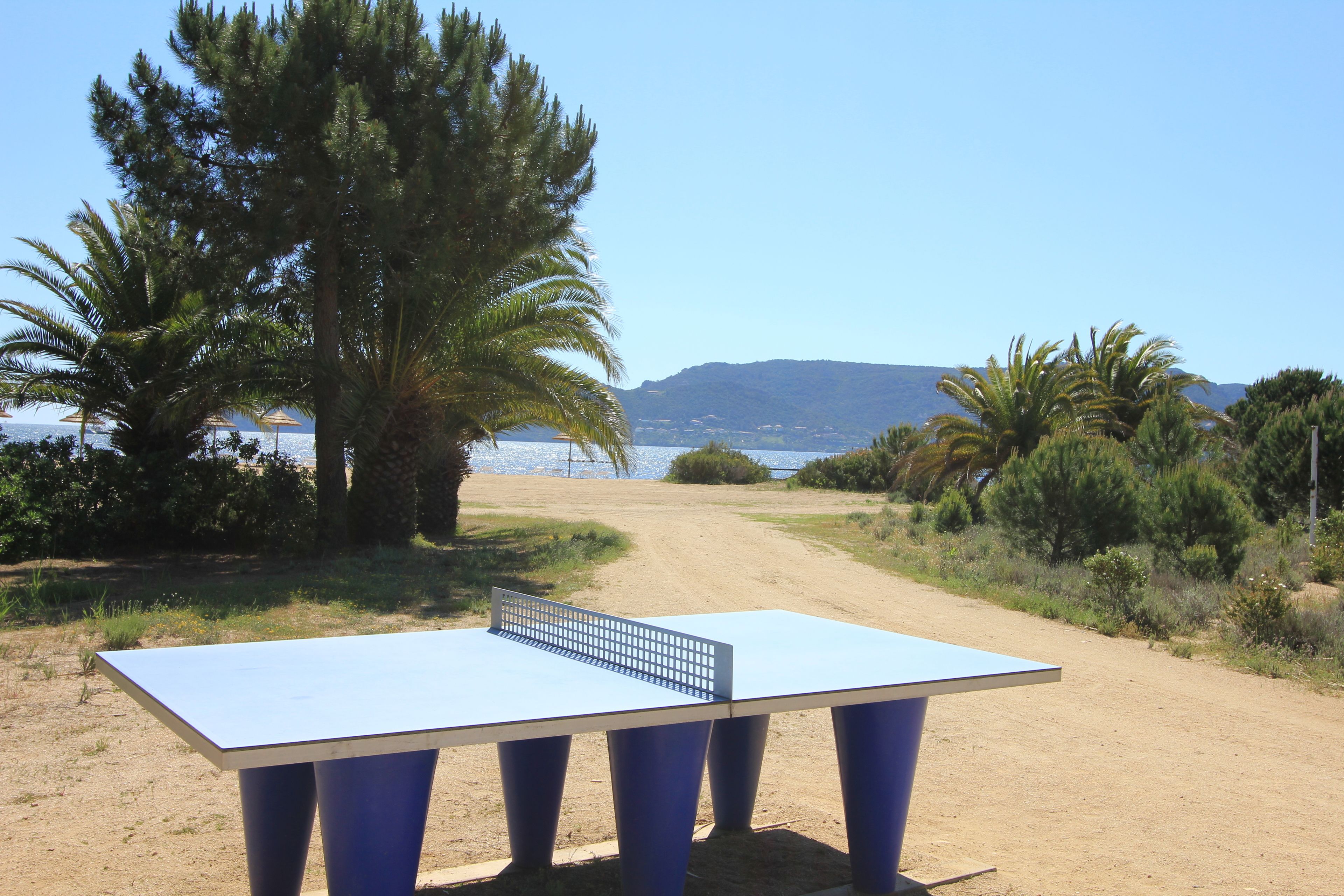 Une table de ping-pong installée sur un chemin de terre, avec une plage et des palmiers en arrière-plan.