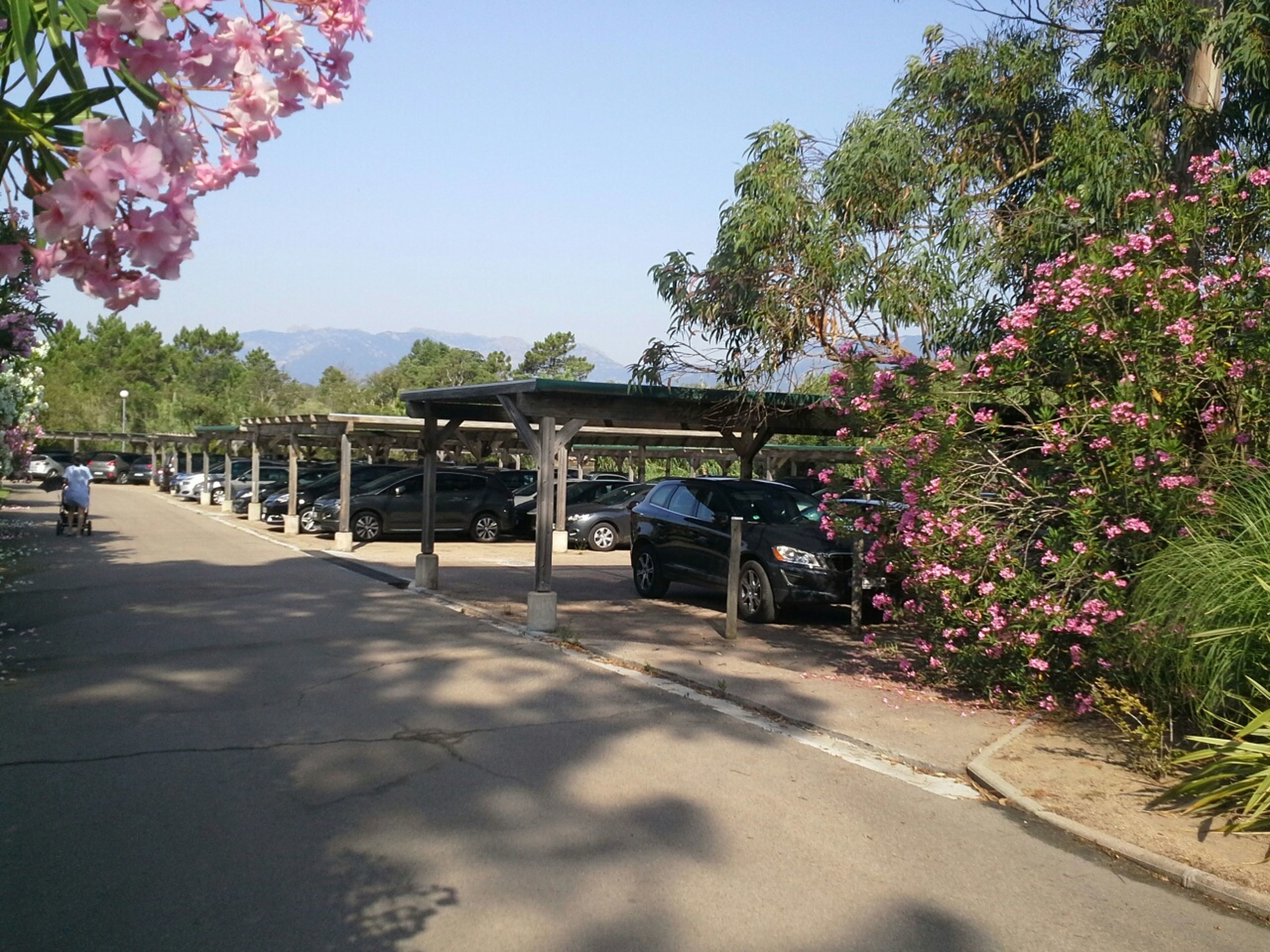 泊車