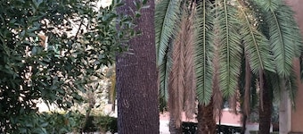 Vecchia Roma Resort