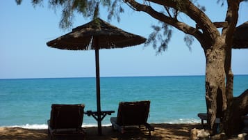 在海灘附近、海灘接駁車、躺椅、太陽傘