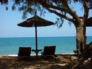 Beach nearby, beach shuttle, sun loungers, beach umbrellas