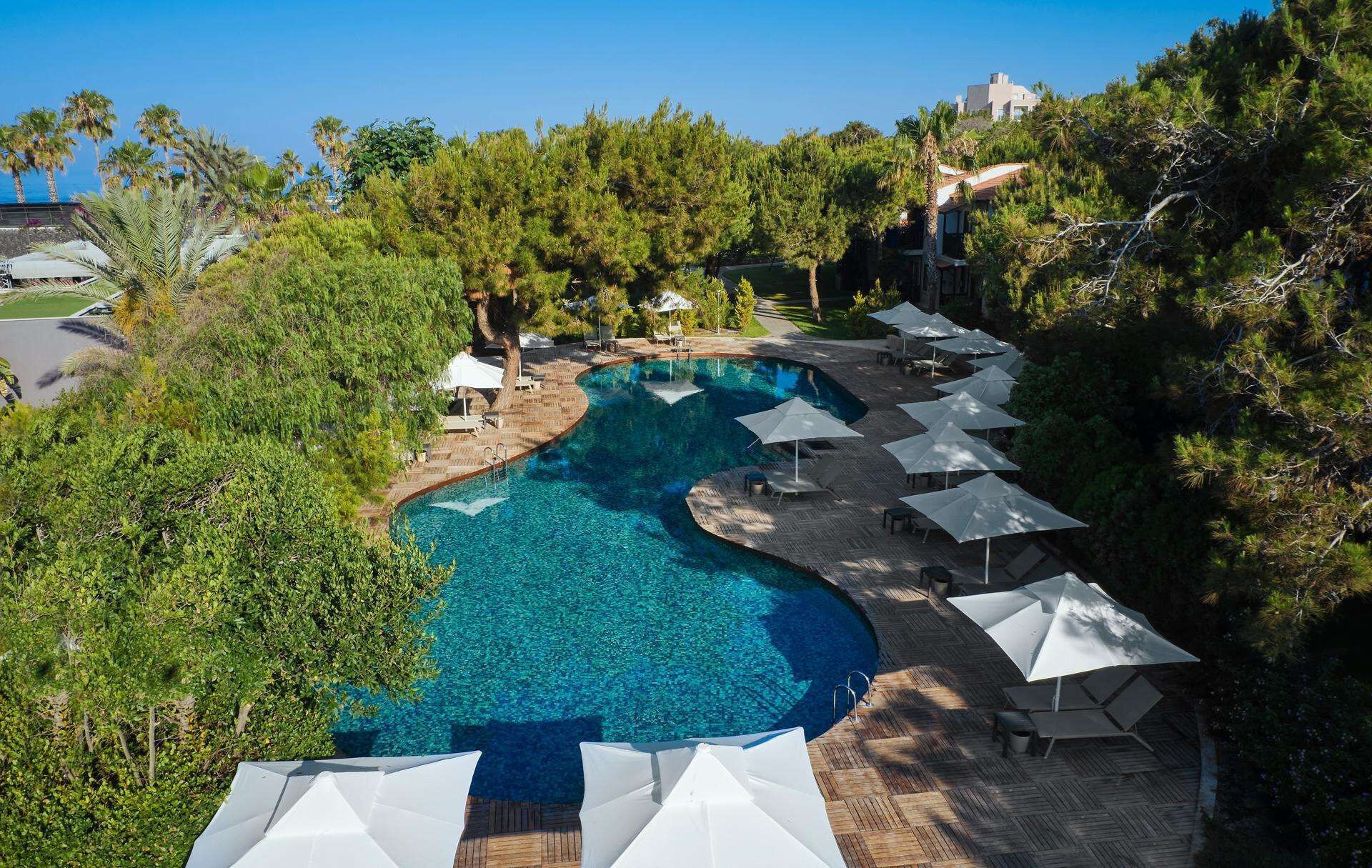 A resort pool with a wooden deck, surrounded by trees and umbrellas.