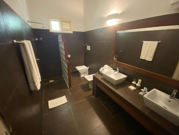 A bathroom with a large mirror, a sink, a toilet, and a shower area. - My Blue Hotel (Nungwi)