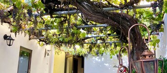 Hotel Rural Vilaflor