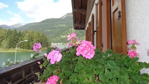 A balcony with pink flowers, a wooden railing, and a view of a lake and mountains. - Garnì Astor (Alleghe)
