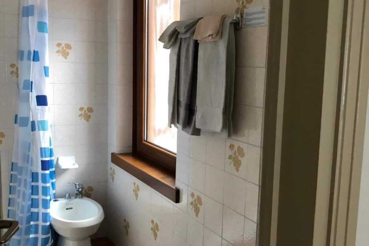 shower, free toiletries, hair dryer, bidet