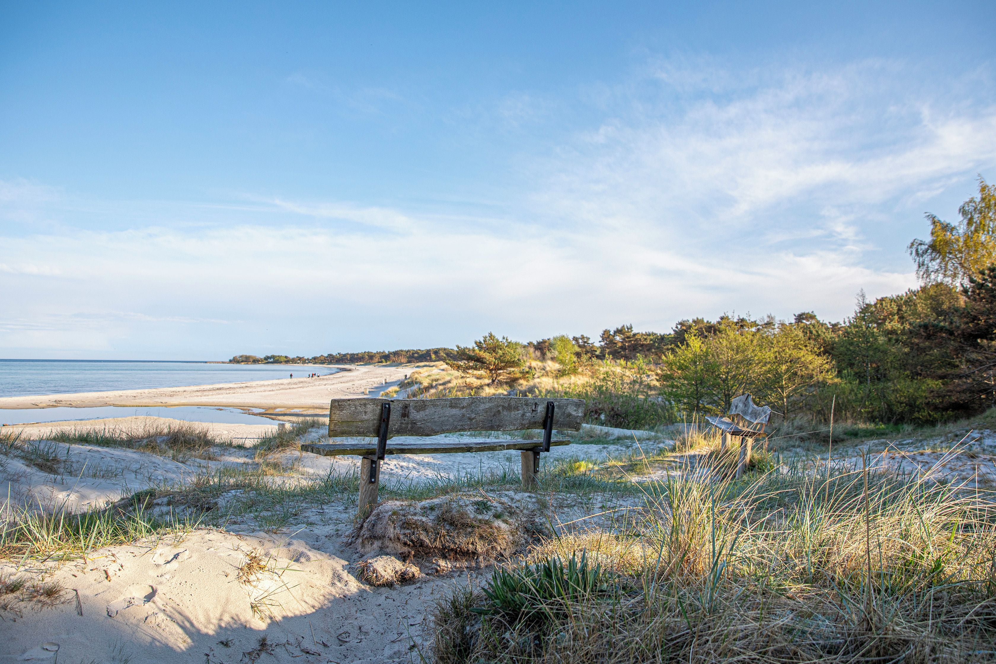 Een bankje op een zanderig strand met uitzicht op de oceaan en bomen in de verte.