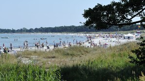 Uma praia com pessoas nadando e tomando sol, um barco na água e uma árvore à direita.