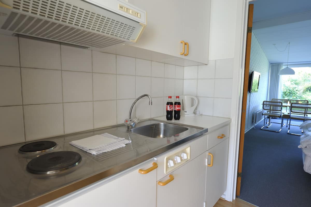 apartment, 1 bedroom, kitchenette | private kitchenette