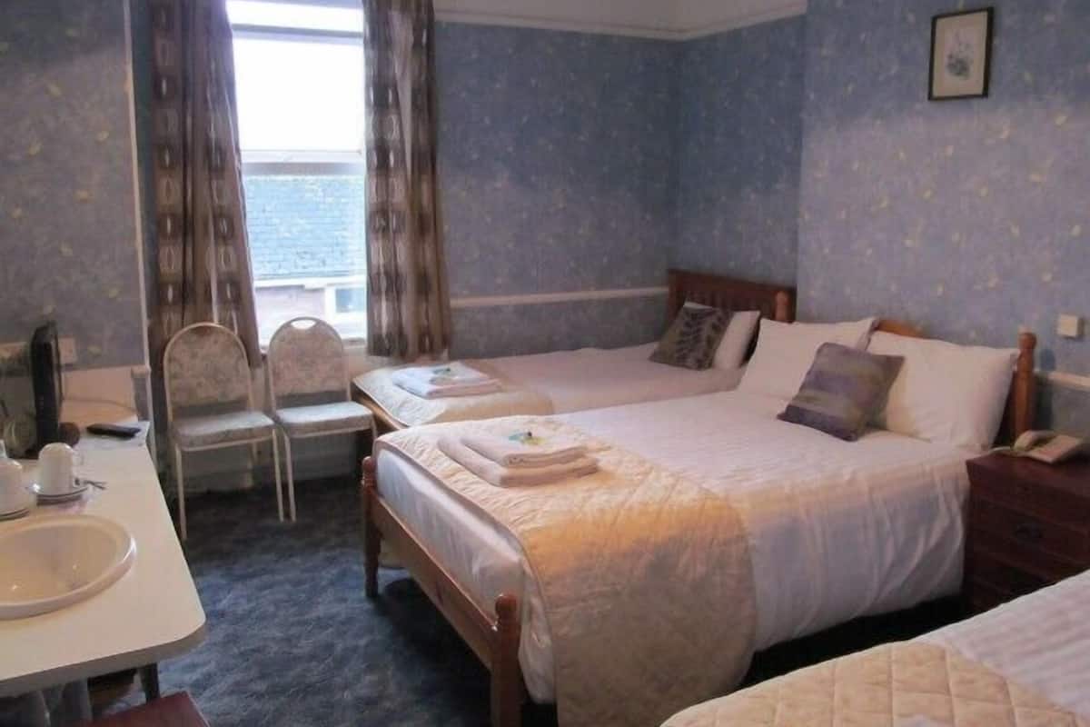 Family Room | Desk, blackout curtains, iron/ironing board, free WiFi