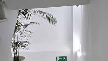 Entrada (vista interna)