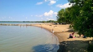 Ein Strand mit klarem Wasser, sandigem Ufer und Bäumen.