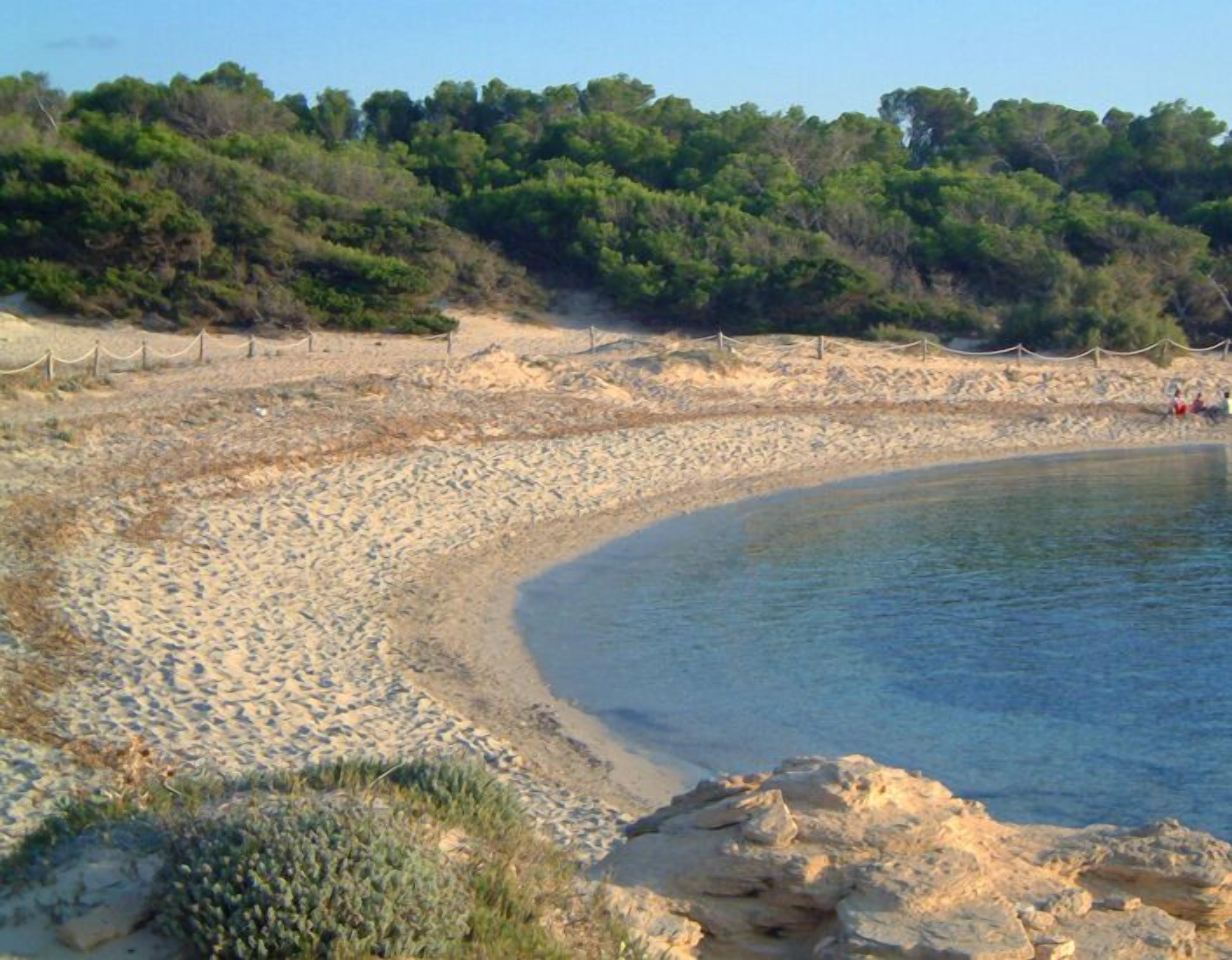 Foto - Agroturismo Ses Arenes