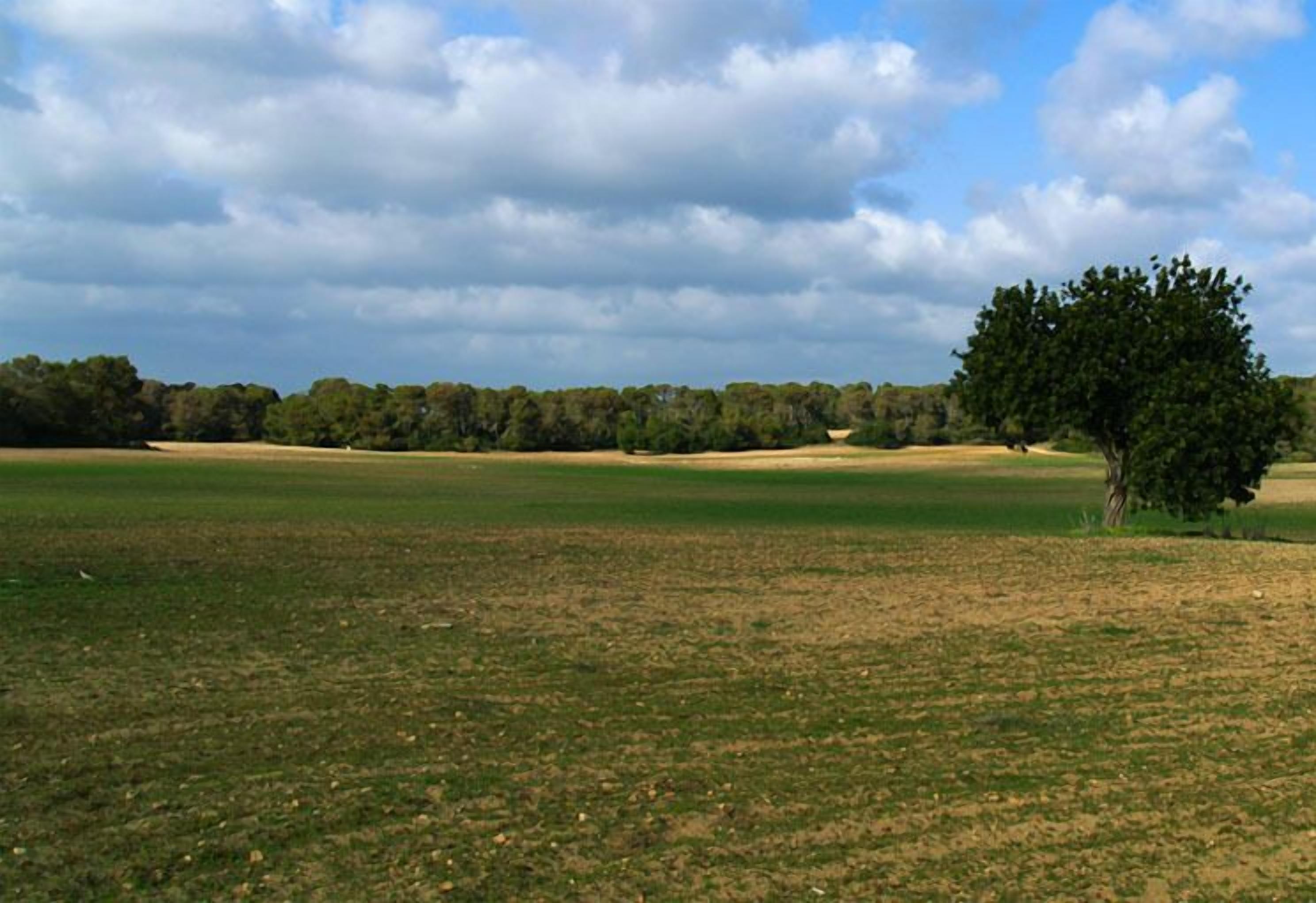 Foto - Agroturismo Ses Arenes