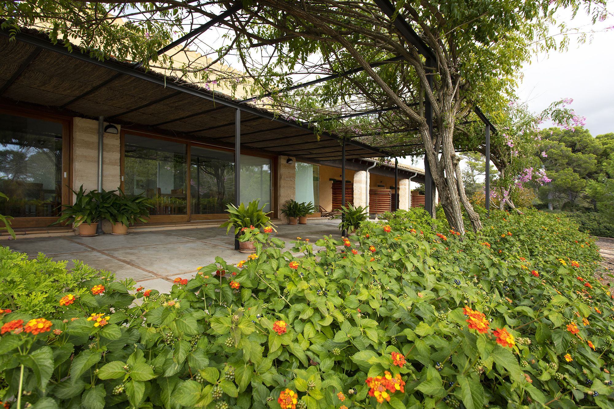 Foto - Agroturismo Ses Arenes