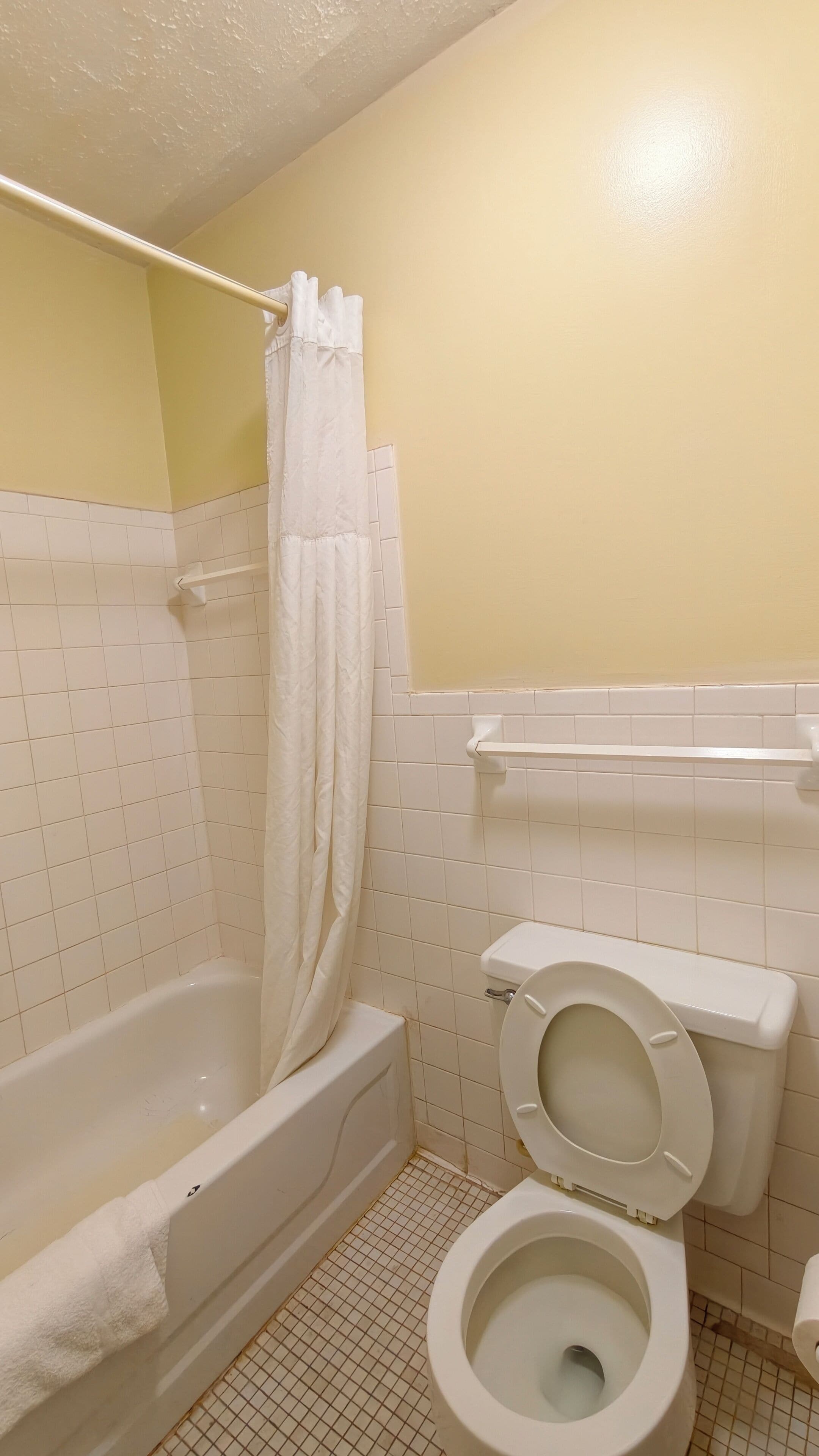 A bathroom with a bathtub, toilet, and a shower curtain.