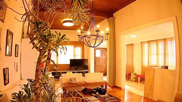Un salón amplio con una planta grande en maceta, un sofá y un televisor.