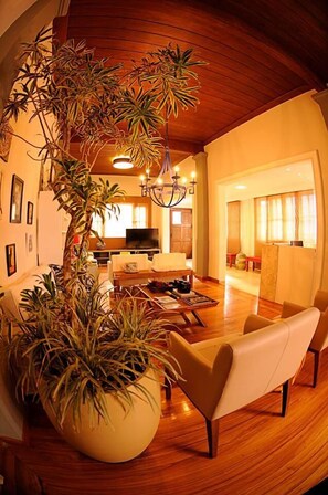 Een ruime woonkamer met een grote kamerplant, een bank en een televisie.