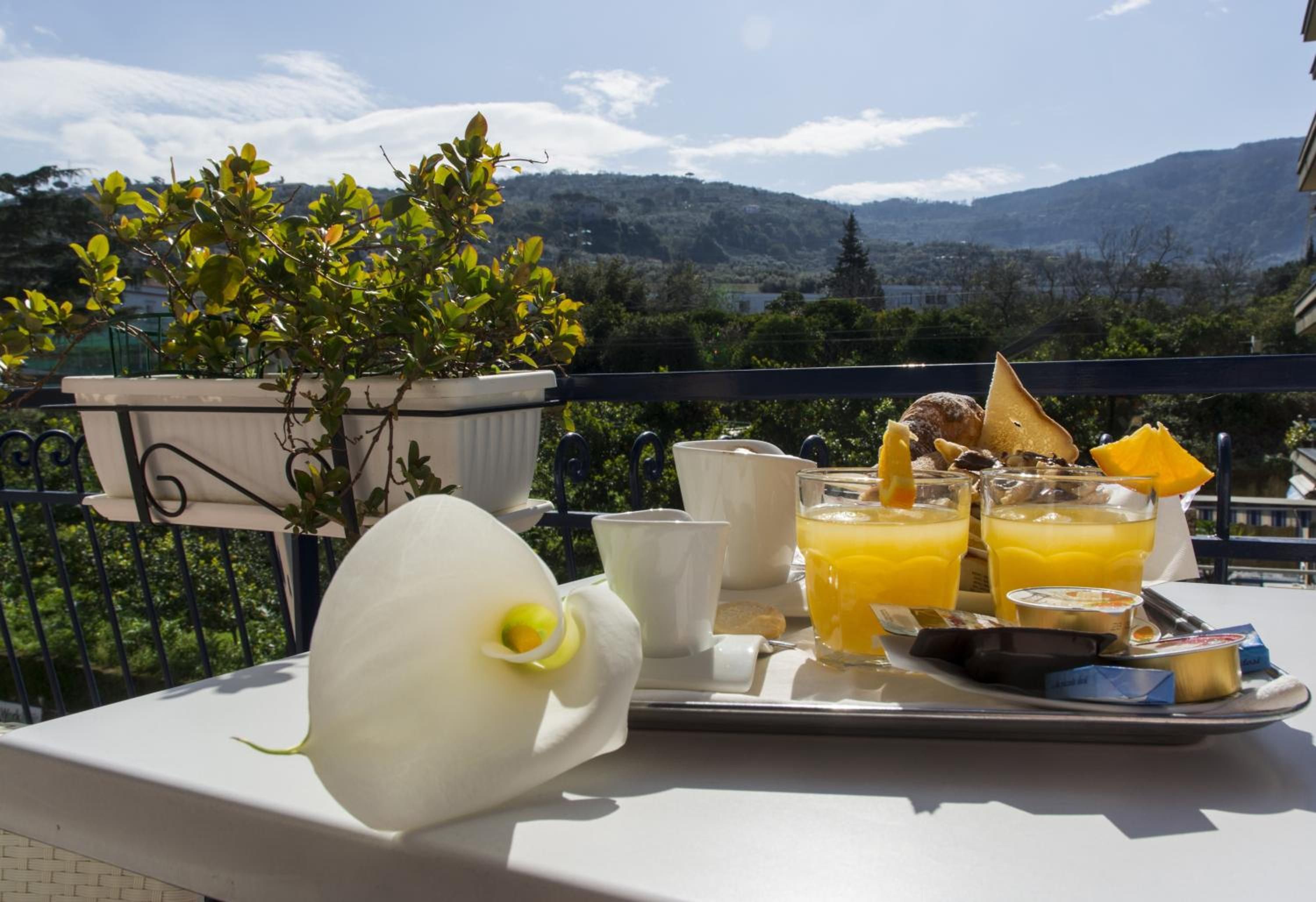 A breakfast tray with orange juice, toast, and a white flower on a balcony with a mountain view.
