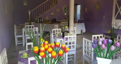 Hotel Pousada Papaya Verde