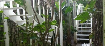 Hotel Pousada Papaya Verde