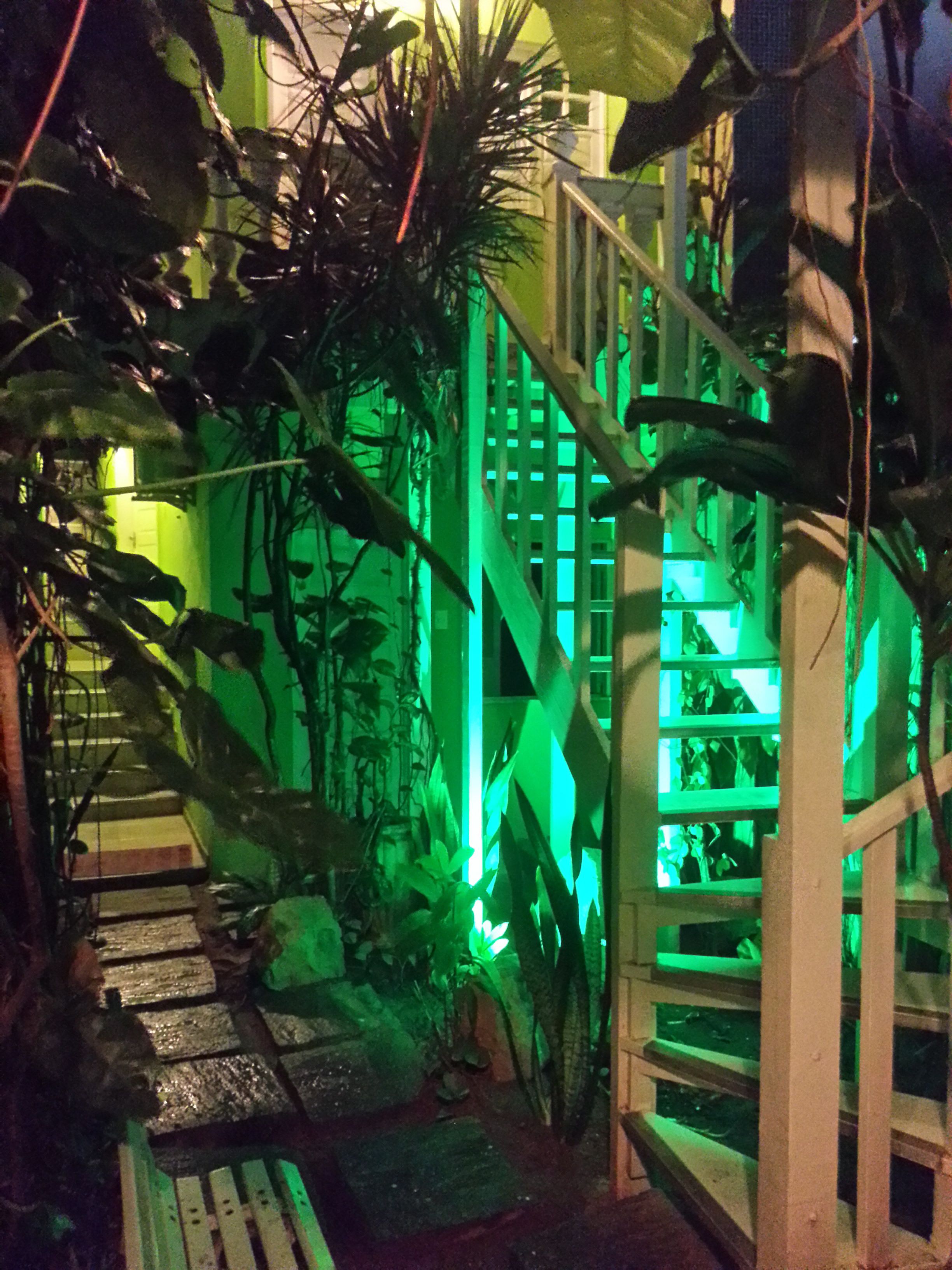 Foto - Hotel Pousada Papaya Verde